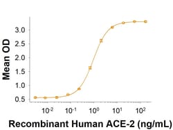 R D Systems Recombinant SARS-CoV-2 Spike (Mink Cluster-5) His Protein CF 100 &mu;g | Buy Online | R&amp;D Systems&trade; | Fisher Scientific