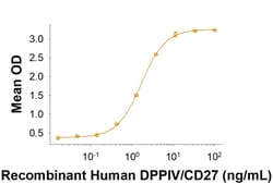 R&D Systems&trade;&nbsp;Recombinant MERS-CoV Spike S1 (GCN4-IZ) His-tag Protein