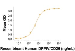 R&D Systems&trade;&nbsp;Recombinant MERS-CoV Spike (GCN4-IZ) His-tag Protein