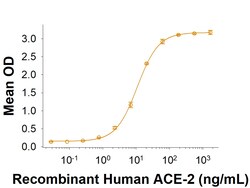 R&D Systems&trade;&nbsp;Recombinant SARS-CoV Spike S1 Subunit His-tag Protein