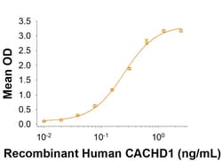R D Systems Recombinant Human CACHD1 Fc Chimera Protein 50 μg | Buy Online | R&D Systems™ | Fisher Scientific