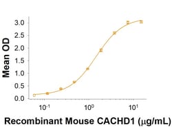 R&D Systems&trade;&nbsp;Recombinant Mouse CACHD1 Fc Chimera Protein