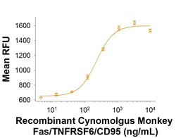 R D Systems Recombinant Cynomolgus Monkey Fas/TNFRSF6/CD95 Fc, CF 50 &mu;g | Buy Online | R&amp;D Systems&trade; | Fisher Scientific