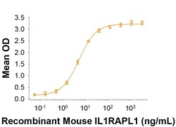 R D Systems Recombinant Mouse IL1RAPL1 Fc Chimera Protein 50 &mu;g | Buy Online | R&amp;D Systems&trade; | Fisher Scientific