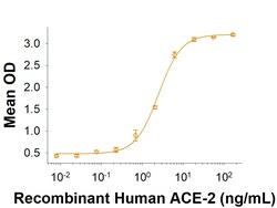 R D Systems Recombinant SARS-CoV-2 20A.EU1 S1 Subunit His Protein 100 &mu;g | Buy Online | R&amp;D Systems&trade; | Fisher Scientific