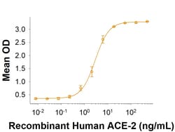 R&D Systems&trade;&nbsp;Recombinant SARS-CoV-2 L18F B.1.351 Spike GCN4-IZ Protein CF
