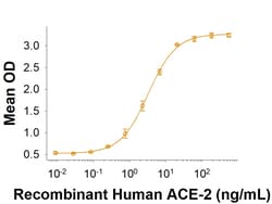 R D Systems Recombinant SARS-CoV-2 Y453F Spike RBD Fc Chimera Protein CF 100 &mu;g | Buy Online | R&amp;D Systems&trade; | Fisher Scientific