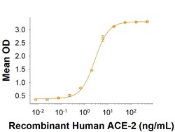 R&D Systems&trade;&nbsp;Recombinant SARS-CoV-2 B.1.525 Spike GCN4-IZ His Protein