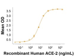 R&D Systems&trade;&nbsp;Recombinant SARS-CoV-2 G446V Spike RBD His-tag Protein