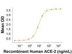 R&D Systems&trade;&nbsp;Recombinant SARS-CoV-2 N440D Spike RBD His-tag Protein