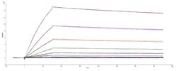 R&D Systems™ Recombinant SARS-CoV-2 B.1.324.1 Spike RBD His Protein