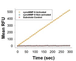R D Systems Recombinant Cynomolgus Monkey MMP-9 Protein 20 &mu;g | Buy Online | R&amp;D Systems&trade; | Fisher Scientific