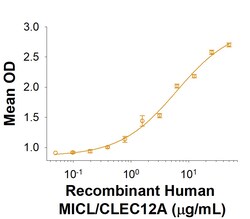 R D Systems Recombinant Human MICL/CLEC12A Fc Chimera Protein 50 &mu;g | Buy Online | R&amp;D Systems&trade; | Fisher Scientific