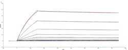 R&D Systems&trade;&nbsp;Recombinant SARS-CoV-2 A.27 Spike GCN4-IZ His-tag Protein CF