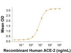R&D Systems&trade;&nbsp;Recombinant SARS-CoV-2 B.1.617.1 Spike RBD His Protein