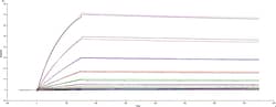 R&D Systems™ Recombinant SARS-CoV-2 +S494P B.1.1.7 Spike GCN4-IZ Protein