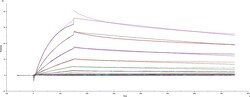 R&D Systems™ Recombinant SARS-CoV-2 B.1.1.318 Spike GCN4-IZ Protein