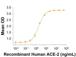R D Systems Recombinant SARS-CoV-2 A.23.1 Spike GCN4-IZ His Protein 100 &mu;g | Buy Online | R&amp;D Systems&trade; | Fisher Scientific