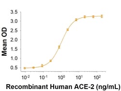 R&D Systems™ Recombinant SARS-CoV-2 B.1.617.1 Spike GCN4-IZ Protein