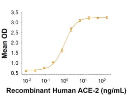 R&D Systems&trade;&nbsp;Recombinant SARS-CoV-2 B.1.526.2 Spike GCN4-IZ Protein