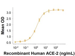 R D Systems Recombinant SARS-CoV-2 B.1.1.519 Spike GCN4-IZ Protein 100 &mu;g | Buy Online | R&amp;D Systems&trade; | Fisher Scientific