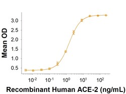 R D Systems Recombinant SARS-CoV-2 C.37 Spike (GCN4-IZ) His Protein 100 &mu;g | Buy Online | R&amp;D Systems&trade; | Fisher Scientific