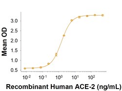 R D Systems Recombinant SARS-CoV-2 B.1.621 Spike GCN4-IZ His Protein 100 &mu;g | Buy Online | R&amp;D Systems&trade; | Fisher Scientific