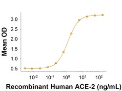R D Systems Recombinant SARS-CoV-2 B.1.616 Spike GCN4-IZ His Protein 100 &mu;g | Buy Online | R&amp;D Systems&trade; | Fisher Scientific