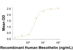 R D Systems Recombinant Human Mesothelin (aa 296-580) Fc Protein 50 &mu;g | Buy Online | R&amp;D Systems&trade; | Fisher Scientific
