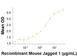 R D Systems Recombinant Mouse Jagged 1 Fc Chimera Protein 50 &mu;g | Buy Online | R&amp;D Systems&trade; | Fisher Scientific