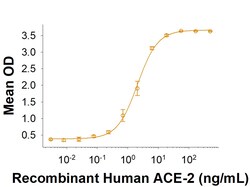 R D Systems Recombinant SARS-CoV-2 B.1.640 Spike GCN4-IZ His Protein 100 &mu;g | Buy Online | R&amp;D Systems&trade; | Fisher Scientific