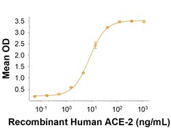R&D Systems&trade;&nbsp;Recombinant SARS-CoV-2 B.1.640 Spike RBD His-tag Protein