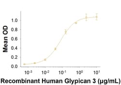 R D Systems Recombinant Human Glypican 3 Fc Chimera Protein 50 &mu;g | Buy Online | R&amp;D Systems&trade; | Fisher Scientific