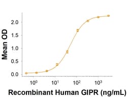 R D Systems Recombinant Human GIPR Fc Chimera Protein 50 &mu;g | Buy Online | R&amp;D Systems&trade; | Fisher Scientific