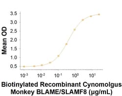 R&D Systems&trade;&nbsp;Recombinant Cynomolgus BLAME/SLAMF8 Fc Chimera Protein