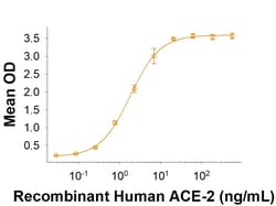 R D Systems Recombinant SARS-CoV-2 B.1.640.2 S (GCN4-IZ) His Protein 100 &mu;g | Buy Online | R&amp;D Systems&trade; | Fisher Scientific