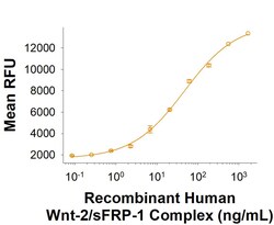 R D Systems Recombinant Human Wnt-2/sFRP-1 Complex Protein 10 &mu;g | Buy Online | R&amp;D Systems&trade; | Fisher Scientific