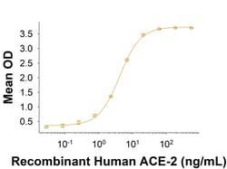 R&D Systems&trade;&nbsp;Recombinant SARS-CoV-2 B.1.1.7 Spike S1 His-tag Protein
