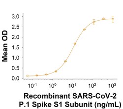 R&D Systems&trade;&nbsp;Recombinant SARS-CoV-2 P.1 Spike S1 His-tag Protein