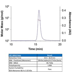 R D Systems Recombinant Mouse CD8 alpha/beta Heterodimer Protein, CF 50 &mu;g | Buy Online | R&amp;D Systems&trade; | Fisher Scientific