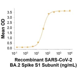 R&D Systems&trade;&nbsp;Recombinant SARS-CoV-2 BA.2 Spike S1 His-tag Protein