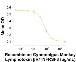 R D Systems Recombinant Cyno Lymphotoxin beta R/TNFRSF3 His Protein 100 &mu;g | Buy Online | R&amp;D Systems&trade; | Fisher Scientific