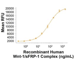 R&D Systems&trade;&nbsp;Recombinant Human Wnt-1/sFRP-1 Complex Protein