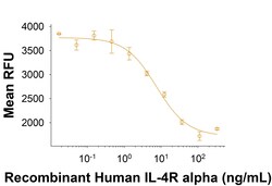 R&D Systems&trade;&nbsp;Recombinant Human IL-4R alpha His-tag Protein