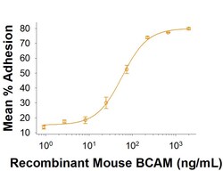 R&D Systems&trade;&nbsp;Recombinant Mouse BCAM His-tag Protein