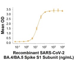 R&D Systems&trade;&nbsp;Recombinant SARS-CoV-2 BA.4/BA.5 S1 His-tag Protein