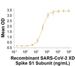 R&D Systems&trade;&nbsp;Recombinant SARS-CoV-2 XD Spike S1 His-tag Protein