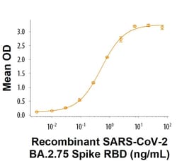 R&D Systems&trade;&nbsp;Recombinant SARS-CoV-2 BA.2.75 Spike RBD His-tag Protein