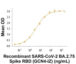R D Systems Recombinant SARS-CoV-2 BA.2.75 S (GCN4-IZ) His Protein 100 &mu;g | Buy Online | R&amp;D Systems&trade; | Fisher Scientific