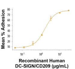 R D Systems Recombinant Human DC-SIGN/CD209 Fc Chimera Protein 50 &mu;g | Buy Online | R&amp;D Systems&trade; | Fisher Scientific